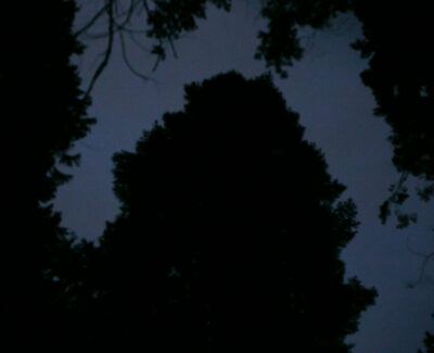 Hidden-2